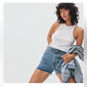 Everlane The Way-High Denim Short